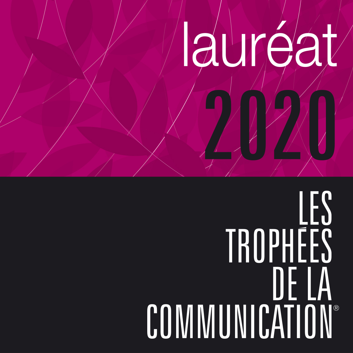 lauréat au trophées de la communication